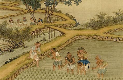  Journey to the West: A Cultivation Tale Rooted in Ancient Agricultural Wisdom